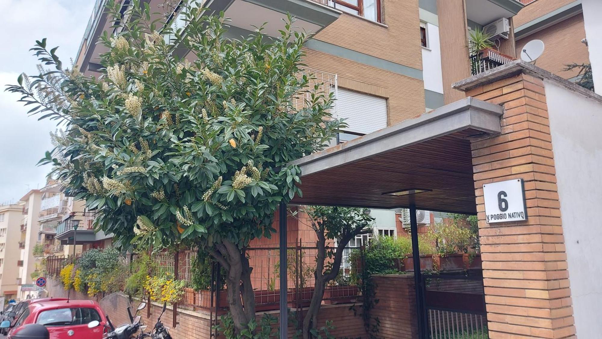 Appartamento Isabella Rom Exteriör bild